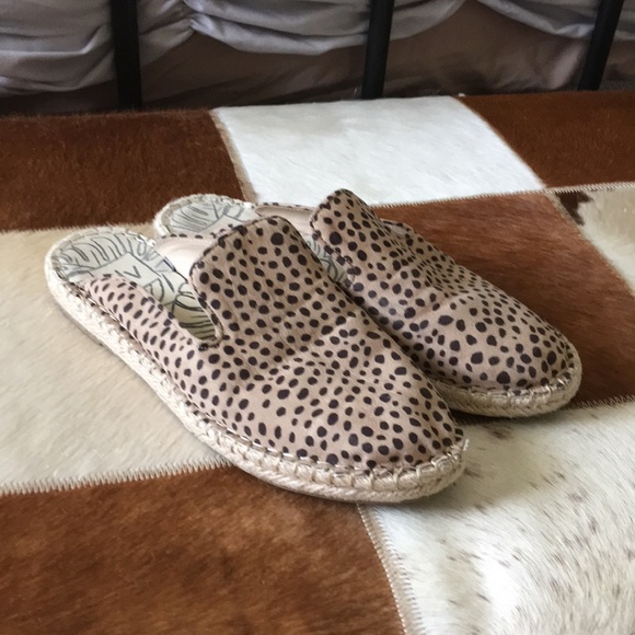dv leopard slides
